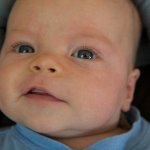 IMG_2633