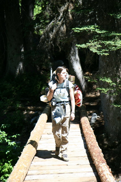 Bridge over Snow Creek at about 4000ft