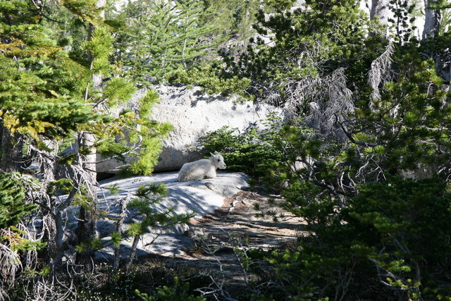 Kid hanging out by camp