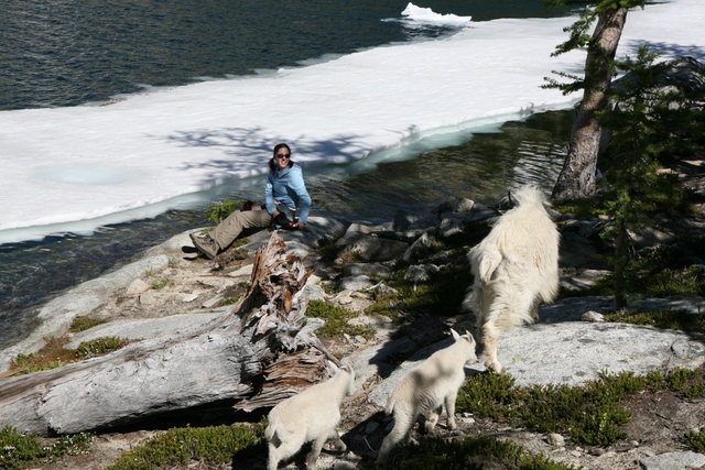 Nanny and Kids check out Nina