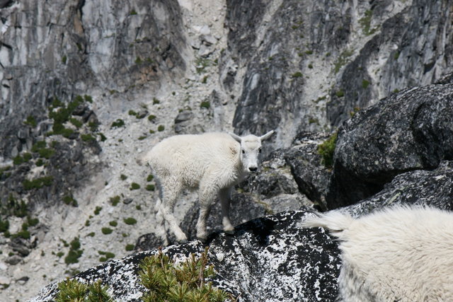 Kid at Aasgard Pass