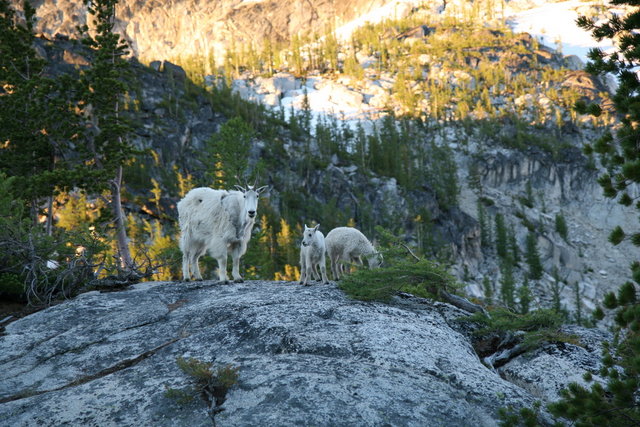 Nanny and Kids