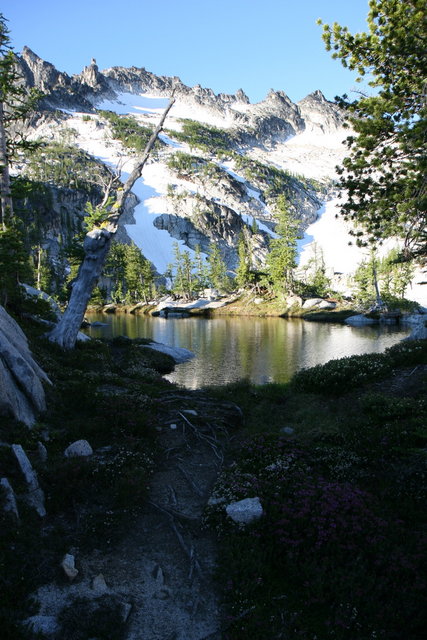 Small Pond in the Morning