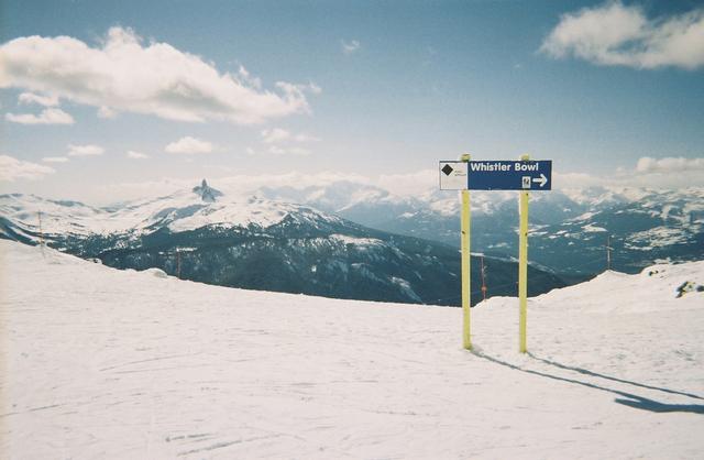 Whistler Bowl w/Black Tusk